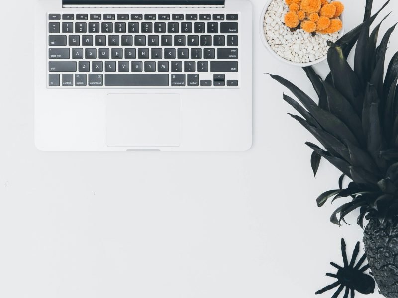 Modern minimalistic desk setup featuring a laptop, pot plant, black pineapple, and decorative spider.